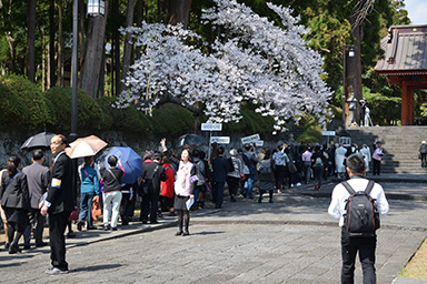 2019年4月・御霊宝虫払大法会 その4