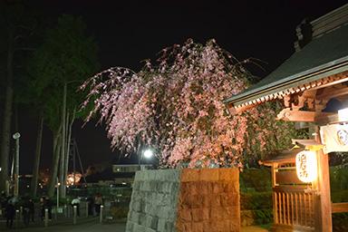 2019年4月・御霊宝虫払大法会 その25