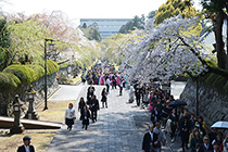 2019年4月「御霊宝虫払大法会」